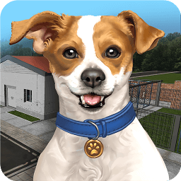 日韩二区三区游戏下载-日韩二区三区官方最新版(Animal Shelter Simulator)下载 v1.362 安卓版
