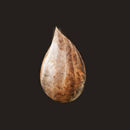 满天星《酒店服务生》手机版中文版下载-轮回满天星《酒店服务生》手机版下载 v0.55 安卓版