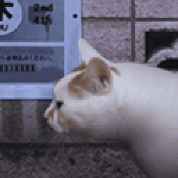 放学后的捉迷藏冷狐官方版之怪奇谭官方正版下载-放学后的捉迷藏冷狐官方版之怪奇谭手机版下载 v1.0 安卓正版